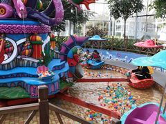 -南宫五洲植物乐园