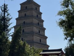 -大慈恩寺(大雁塔)