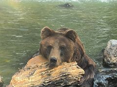 -北京野生动物园