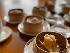 -广州富力君悦大酒店空中花园