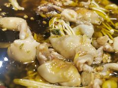 泰椒草鱼肚-红京鱼(西坝河店)