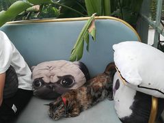 -小时光咖啡馆(北锣鼓巷店)