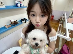 -汪说·狗咖·拼豆·宠物周边DIY(旺城大厦店)