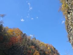 -望天鹅景区