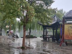-百花洲