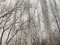 -北京世界公园
