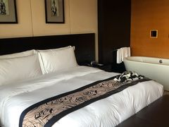 -天目湖涵田半山温泉