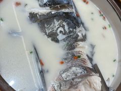 -全乐鱼馆·淳牌有机鱼直营店