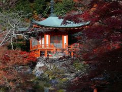 -醍醐寺