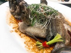 -紫阳海鲜楼·传承闽味(长乐路总店)