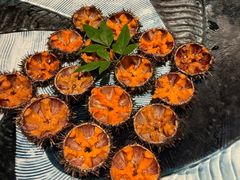 马粪海胆-Minase水濑·日料放题(外滩店)