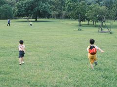 -福建鲤鱼洲酒店