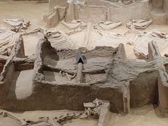 -洛阳周王城天子驾六博物馆