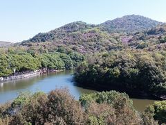 -白马涧龙池景区