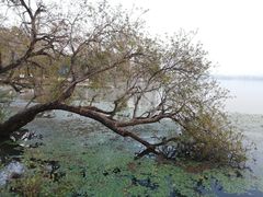 -西昌邛海湿地
