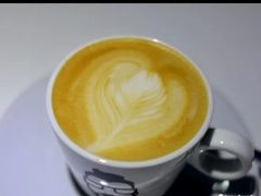 -喵的天空名猫咖啡馆·撸猫·猫舍·用品