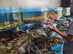 水产区-蓝珊甄选海鲜自助·火锅大排档(近阿那亚店)