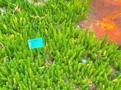 -华南国家植物园-售票处