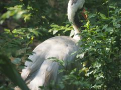 -泉州海丝野生动物世界