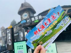 -仰天湖大草原