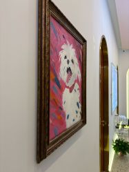 点击看大图 -光SPA科技美肤