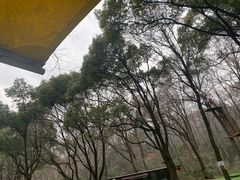 -WeLope紫金山探险公园