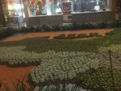 -森谷美食公园(杨行店)