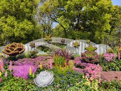 -上海共青森林公园