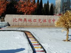 -沈阳奥体冰雪嘉年华