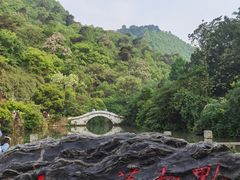 -黔灵山公园