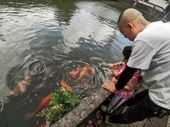 -丝绸小镇荻港古村