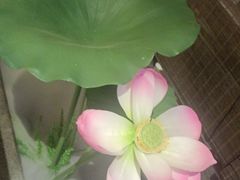 -徽镇小厨·经典徽菜(十里河店)