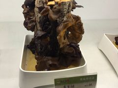 鲜活木耳-番食园鲜食火锅(高新店)