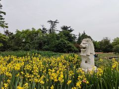 -桂湖森林公园