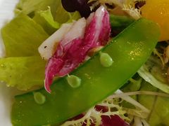 螺片章鱼有机色拉-蝶舍·MAISON PAPILLON