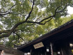 -上海醉白池公园