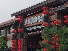 -南宫五洲植物乐园