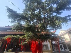 -迎江寺