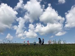 -空中草原
