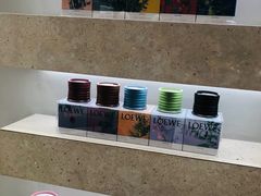 -LOEWE罗意威(北京SKP女装店(一层))