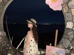 -汕尾风车岛