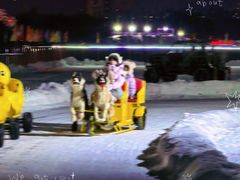 -长春市南湖公园