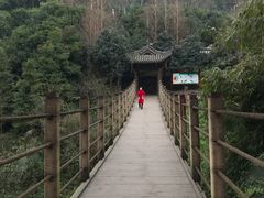 -凤栖山