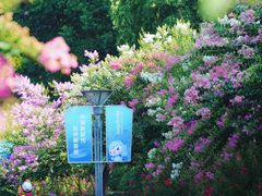 -杭州城北体育公园