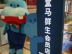 -盒马鲜生(大成店)
