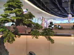 -马家斑.鲜鱼火锅(松湖万科店)
