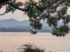 -浙江西子宾馆·瑶园咖啡厅