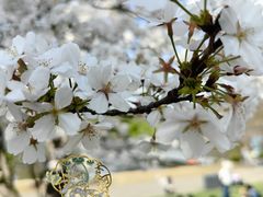 -上海辰山植物园
