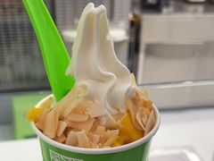 -Salud撒露欧洲冻酸奶(五道口购物中心店)