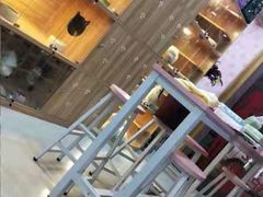 -喵百万·布偶·蓝金金渐层英短·猫舍(百子湾店)